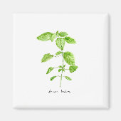 Citroenmelisse kruid waterverf tuin magneet (Voorkant)