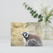 citroenstaart briefkaart (Staand voorkant)