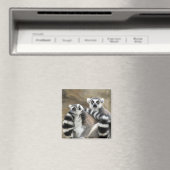 citroenstaarten magneet (Insitu (Vaatwasser))