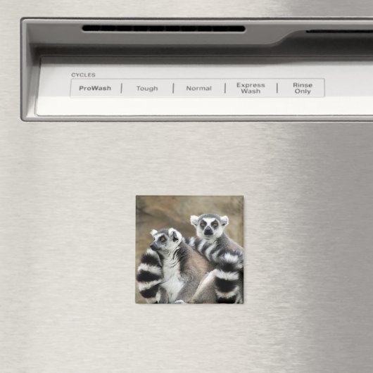 citroenstaarten magneet (Insitu (Vaatwasser))