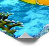 Citroenvlinder Vis Poster (Hoek)