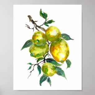 Citroenvruchten hangend aan een tak poster
