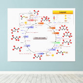 Citroenzuurcyclus, TCA-cyclus, Krebs-cyclus Canvas Afdruk (Insitu (Houten vloer))