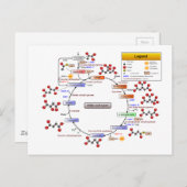 Citroenzuurcyclus, TCA-cyclus, Krebs-cyclusdiagram Briefkaart (Voorkant / Achterkant)
