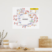 Citroenzuurcyclus Tricarbonzuur en acitaat Poster (Keuken)