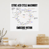 Citroenzuurcyclusmachines ingebed in krebs poster (Keuken)