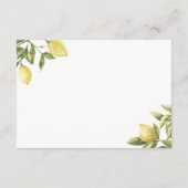 CITRON Citrus Behuizing Invoegen Kaart 5 "x3.5" (Achterkant)