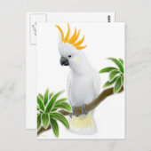 Citron Crested Cockato-Briefkaart Briefkaart (Voorkant / Achterkant)
