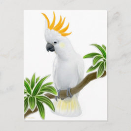 Citron Crested Cockato-Briefkaart Briefkaart