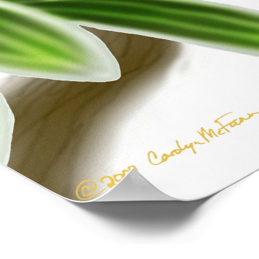 Citron Crested Cockato-Poster Poster (Hoek)