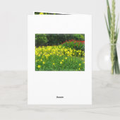 Citron Daylily [Wenskaart] カ ー ド Kaart (Achterkant)