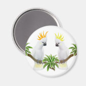 Citron & zwavel kaketoe magneet (Voorkant / Achterkant)