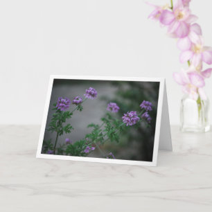 Citronella Plant met bloemenportret Kaart