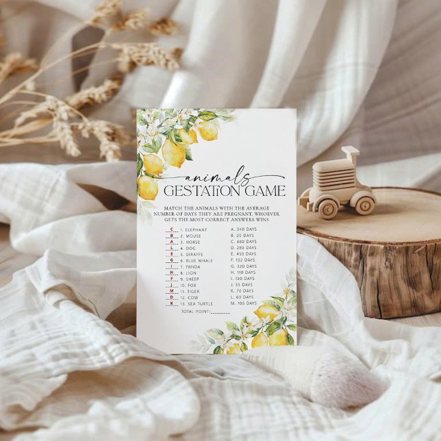 Citrus Baby shower Gestation Baby shower (Creator heeft geüpload)