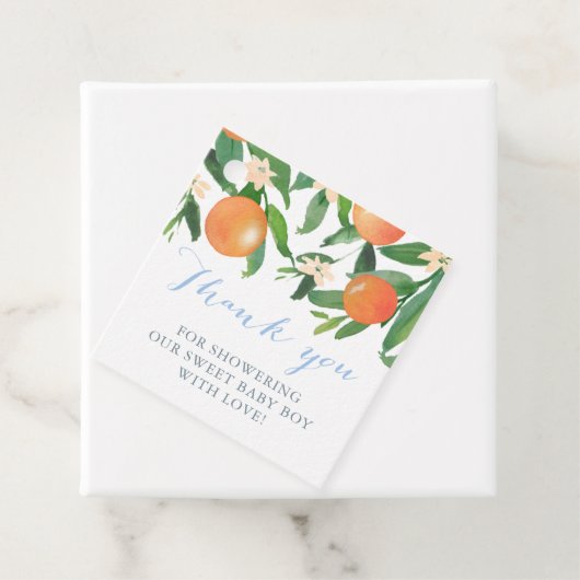 Citrus Baby shower voor Sweet Baby Boy Bedankjes Labels (In situ)