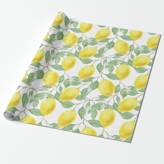 Citrus Cadeaupapier (Uitgerold)
