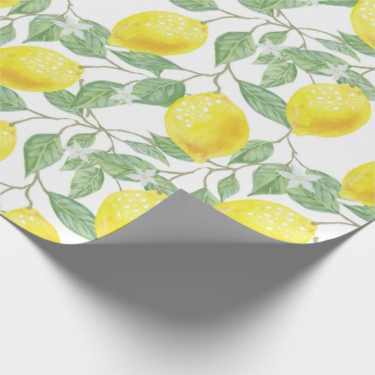 Citrus Cadeaupapier (Hoek)