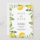 Citrus Citroen Boom Foto Bruiloft Save The Date (Voorkant)