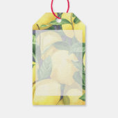 Citrus Citroen - Mama's main squeeze baby shower Cadeaulabel (Achterkant)