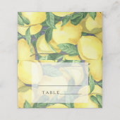 Citrus citroen - plaats kaarten plaatskaartje (Buitenkant ongevouwen)