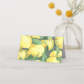 Citrus citroen - plaats kaarten plaatskaartje (Achterkant)