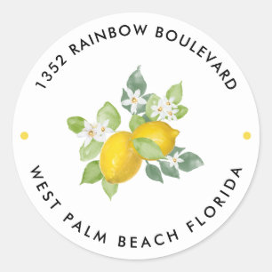 Citrus Citroen Thema Baby Shower Retouradres Ronde Sticker