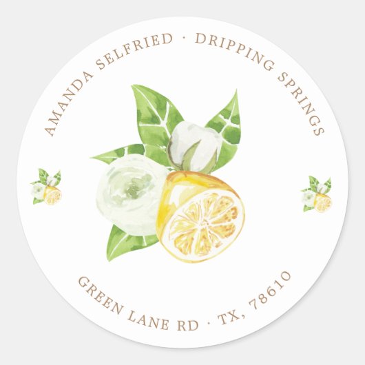 citrus citroenboom fruit  Klassieke Ronde Sticker (Voorkant)