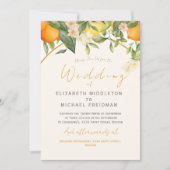 Citrus citroenen Sinaasappels Botanische moderne b Kaart (Voorkant)