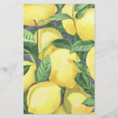 Citrus citroenen - Wat zit er in je tas spel (Achterkant)