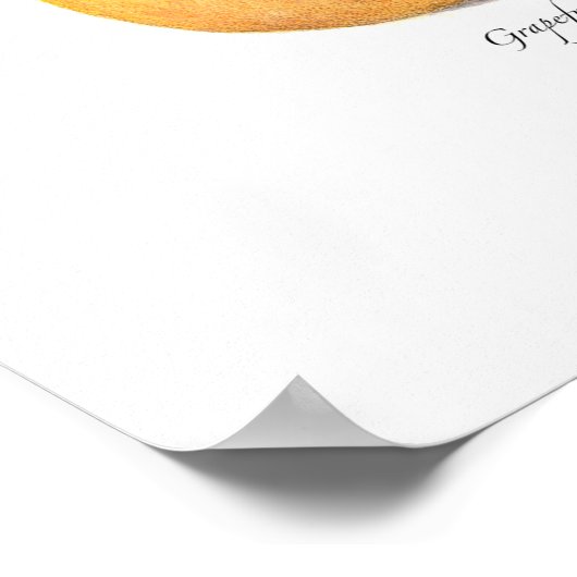 Citrus Collectie Poster (Hoek)