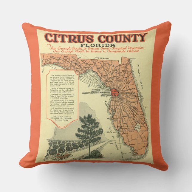Citrus County Florida  kaart Buitenkussen (Voorkant)