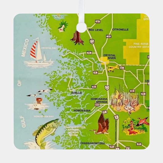 Citrus County Florida Vintage Kaart Ornament (Voorkant)