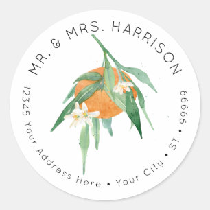 Citrus Cutie Sinaasappel Bloemen Groen Adres Ronde Sticker