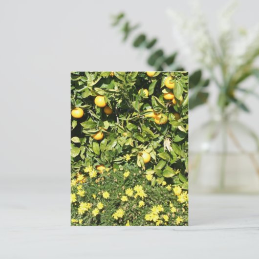 Citrus en Euryops Briefkaart (Staand voorkant)