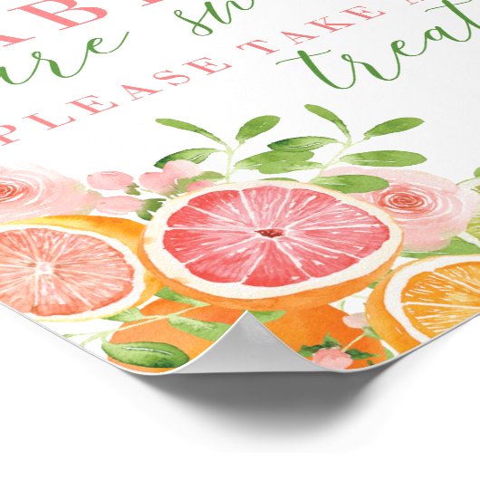 Citrus Fruit & Flowers Baby shower Favors Sign Poster (Hoek)
