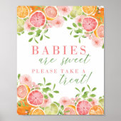 Citrus Fruit & Flowers Baby shower Favors Sign Poster (Voorkant)