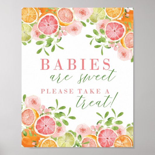 Citrus Fruit & Flowers Baby shower Favors Sign Poster (Voorkant)
