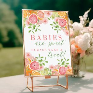 Citrus Fruit & Flowers Baby shower Favors Sign Poster