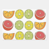 Citrus Fruit Garden Party Inpakpapier Vel (Voorkant 2)