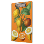 CITRUS FRUIT KLEMBORD (Links)