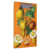 CITRUS FRUIT KLEMBORD (Rechts)