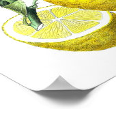 Citrus Fruit Lemon Botanical Print nr. 10 Wall Art (Hoek)