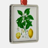 Citrus Fruit Lemon Botanical Print nr. 7 Art. Metalen Ornament (Rechts)