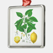 Citrus Fruit Lemon Botanical Print nr. 7 Art. Metalen Ornament (Links)