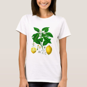 Citrus Fruit Lemon Botanical Print nr. 7 Art. T-shirt