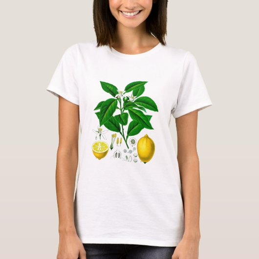 Citrus Fruit Lemon Botanical Print nr. 7 Art. T-shirt (Voorkant)