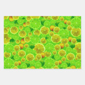 Citrus Fruit, Lemon en Limoen gepatterd Inpakpapier Vel (Voorkant)