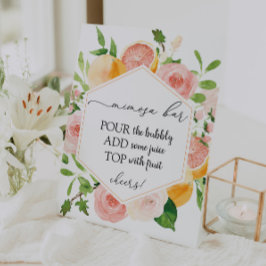 Citrus Fruit Mimosa Bar Reclamebord Met Voetstuk