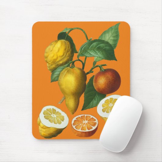 CITRUS FRUIT MUISMAT (Met muis)