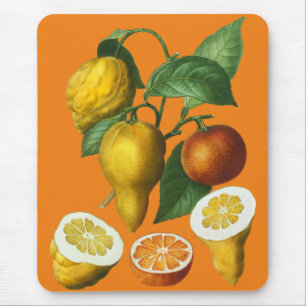 CITRUS FRUIT MUISMAT